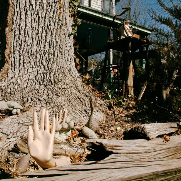 manaquin hands peaking up from below the roots of a tree