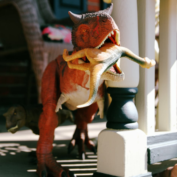 a plastic dinosaur eating another plastic dinosaur on someone&rsquo;s front porch
