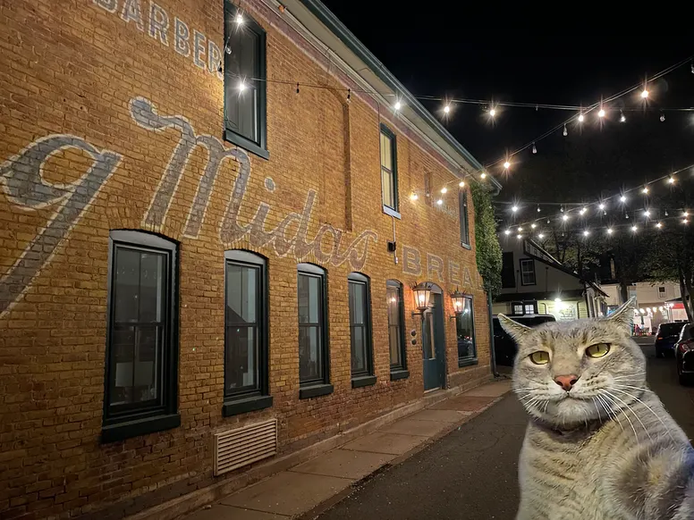 a cat taking a selfie in an alley