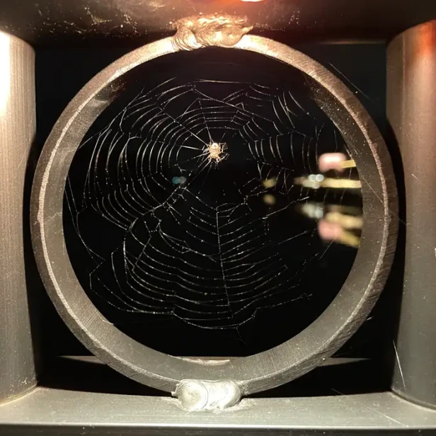 a spider hangs in the middle of a spider web inside of an opening on the bridge railing