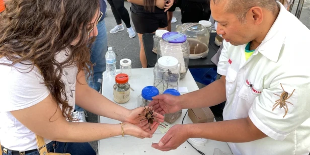 two people passing a large, hairy spider across their hands