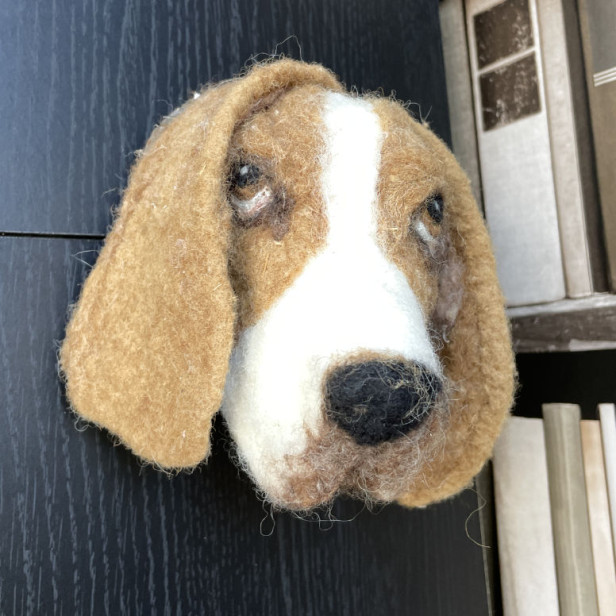 a basset hound dog head made of felt hangs on a bookshelf at the store