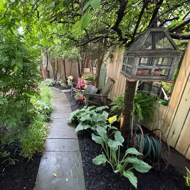 a wood and wire birdhouse hangs from a tree by a fairy tale pathway leading to the back garden