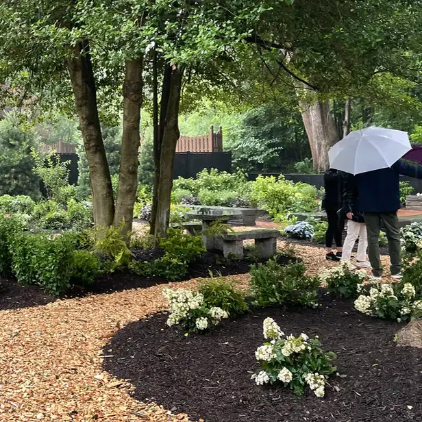 visitors carry umbrellas in the rain as they walk a winding pathway in the garden