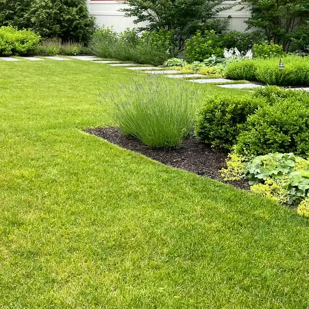 a sharp line where the lawn ends and the flower bed begins