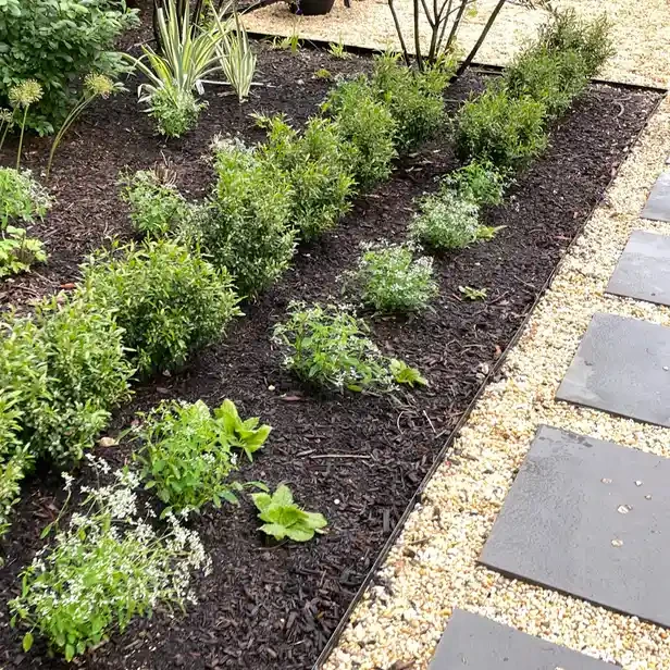 a line of plants in a flower bed that buts against a pathway made of crushed stone and a slate walkway