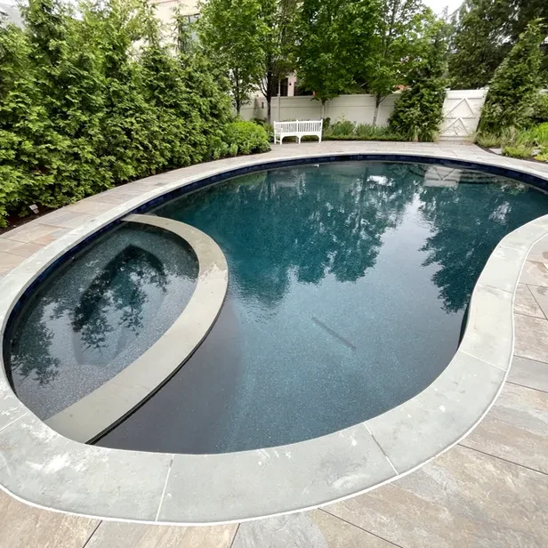 an appealing kidney-shaped pool