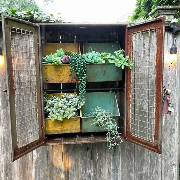 an old cabinet with open wire mesh doors revealing plants growing in metal containers inside