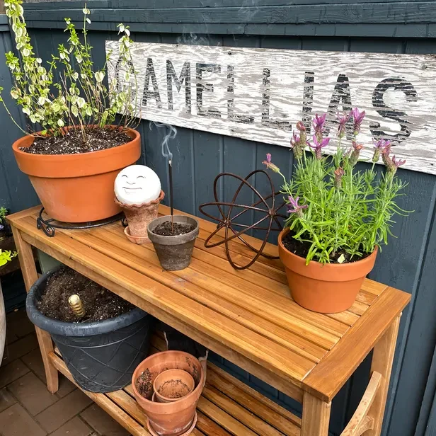 a wooden shelf with terra cotta pots, some plants, and some incense on top