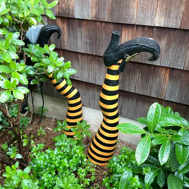 curly toed black shoes on two striped-stocking legs sticking up from the ground suggesting a witch was crushed under the foundation of the house