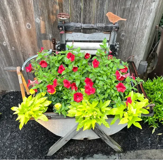 an old clothes washing tub turned into a planter with flowers inside