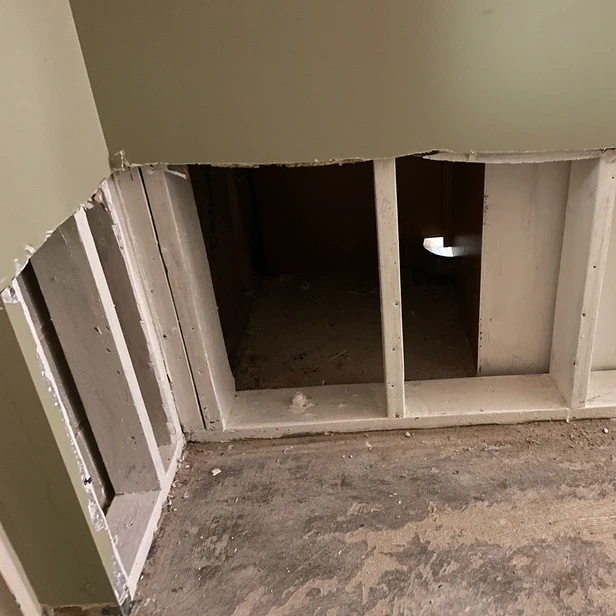 looking from the hallway and through the wall into the kitchen cabinets of Linda&rsquo;s temporary apartment