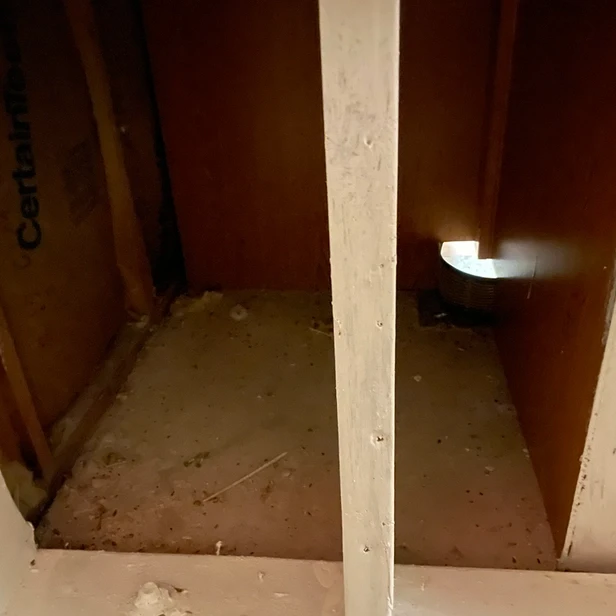 inside the corner of the kitche cabinets as seen from the hall, mouse poop is on the floor