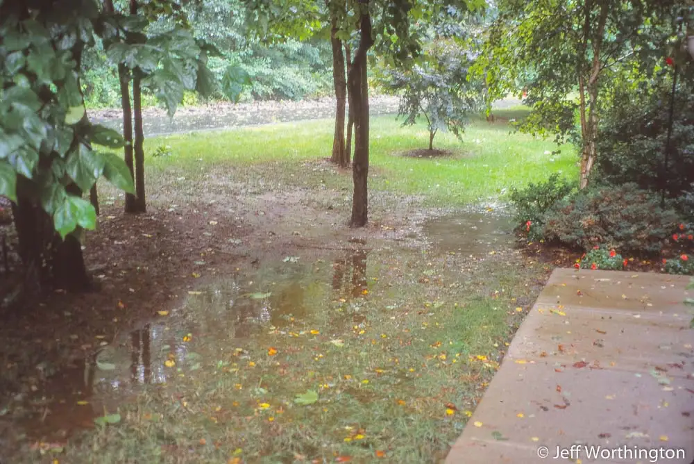 a shaded area of grass with a large puddle in the middle