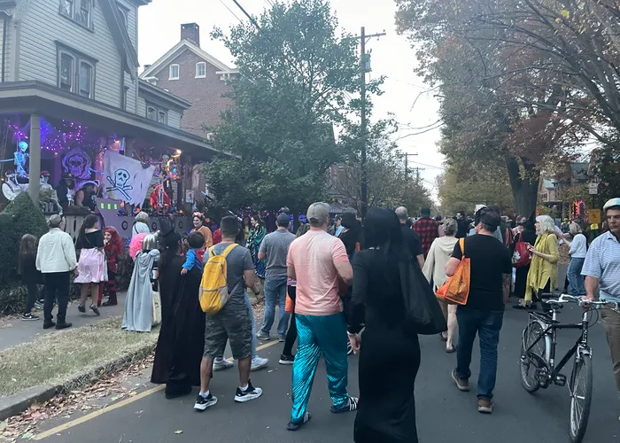 hundreds of people dressed in costumes on North Union Street in Lambertville, NJ