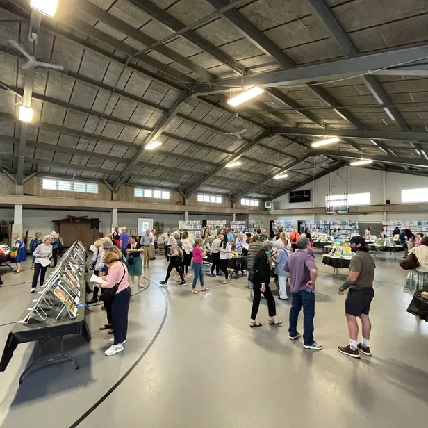 a woman dressed as a fish holding up art